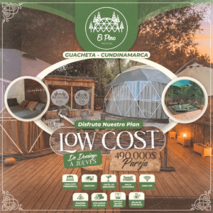Low Cost