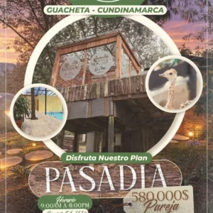 🌿✨ PLAN PASADÍA EN GLAMPING LUXURY ✨🌿